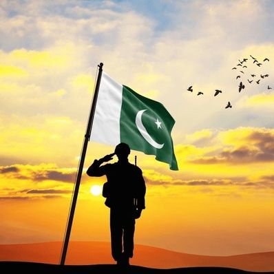 Social activist ,Former President Overseas Pakistan Solidarity Sindh (OPS),CEO Eyeworldnews,CEO Ideal builders,Former President Pmlf Rwp Division