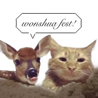 wonshua fest — PROMPTING! (@wonshuamod) 's Twitter Profile