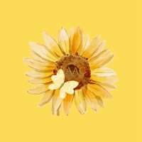 Via Arts And Culture (@andvia3385) 's Twitter Profile