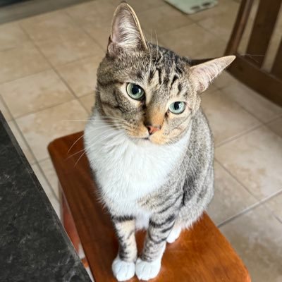 tekRN's profile picture. Settled but never still.