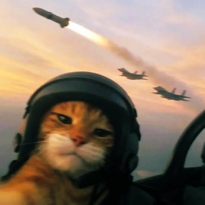 this_user0's profile picture. 🇳🇬