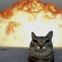 773 (@chillchillsam) 's Twitter Profile Photo 773 (@chillchillsam) 's Twitter Profile Photo