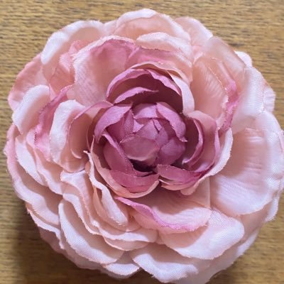 チョコさんのプロフィール画像