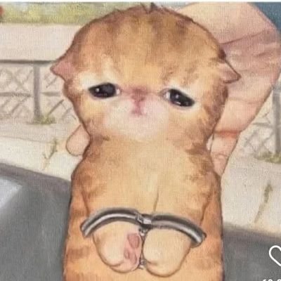 México// 24 años // Escritora-Fanficker de poca monta pero llena de hiperfijaciones //Kyman, Creek, Huskerdust, KyuWook
