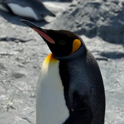 TKM Profile