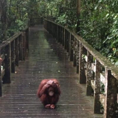angelocabs_'s profile picture. im 23yrs old