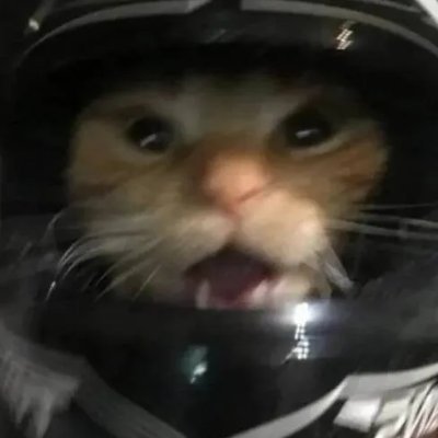 dkenno2000's profile picture. ....