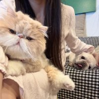 Olivia (@msefi19) 's Twitter Profile