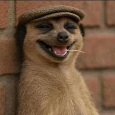 Dealing with copium and waiting for that big win... WAGNMI