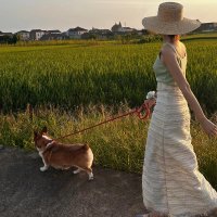 Fanny (@fanny62341) 's Twitter Profile
