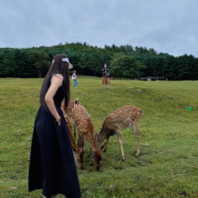 Odelette68421's profile picture. As you travel, you learn about yourself; as you walk, you come to understand who you are.🚶‍♀️🌱