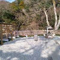 Kotachan (@kotachan0421) 's Twitter Profile