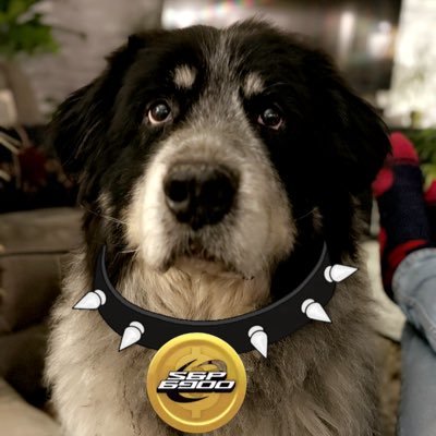 mosier_jeremy's profile picture. spx6900 1 of many who Believe