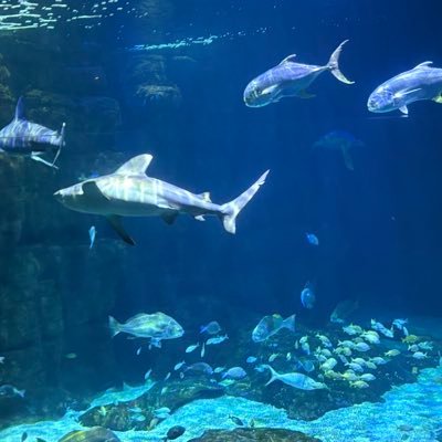 Peyton661419's profile picture. 