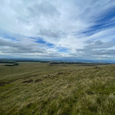 Oasis370582's profile picture. 