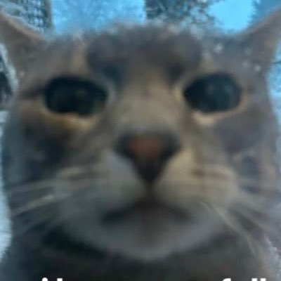 Siege & Valorant Player | Speedrunner https://t.co/j5mQFYtUSU https://t.co/5VvNvjgWBk