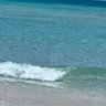 texan_florida's profile picture. ❤️ 🇺🇸