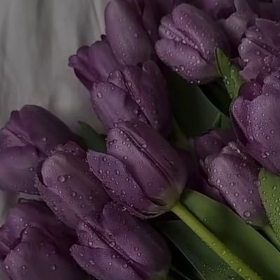 اللهُم ضّم روحي وأجعلها في ودائعك، اللهُم أرحمّني برحمتك يوم لا يُسمع لقلبي نبض🤍