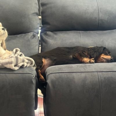 JBlue3334533499's profile picture. 
