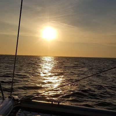 HallHope17056's profile picture. 