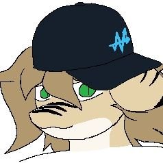 your friendly neighborhood sea animal | guilty gear & yakuza fan | 🇳🇱 | genderfluid | zoos & edtwt & other weird people dni | autistic |
pfp by @morgradation
