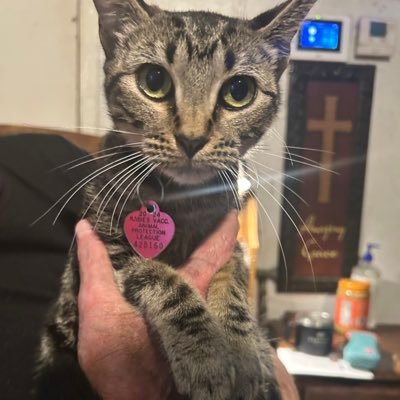 k_yleigh0's profile picture. 