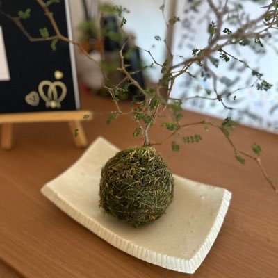 雑多垢。ゲームとダンスが趣味の坊主です。