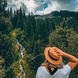 Korexie830's profile picture. 