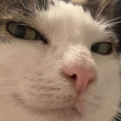 MGonzalez82998's profile picture. 