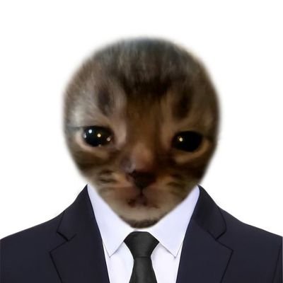 bruxadecrocs's profile picture. cuidado cão bravo