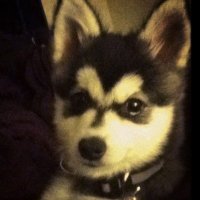 ๐ (@d3hdpqk) 's Twitter Profile