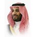 P Mohammed B Salman (@prncebinsalman) Twitter profile photo P Mohammed B Salman (@prncebinsalman) Twitter profile photo