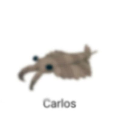 evolution is cool. dont follow me i tweet every full moon because im a werewolf AUROOOOOOOOOOOO