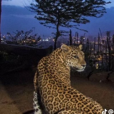 wkl667100557641's profile picture. 