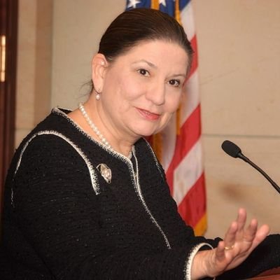 Embajadora eminente. Madre, hija, abuela y esposa. Consejera en @ACLatAm y @MexicoInstitute asesora en @CSIS Columnista @heraldodemexico #Referente