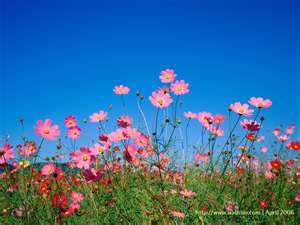 RebecaJones1965's profile picture. 