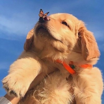 sergio727282's profile picture. 