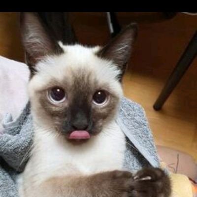 10levileonlouis's profile picture. ℒ𝓸𝓿𝒆 𝔂𝓸𝓾 ──★ ˙ ̟ !!°  ☆  ྀིྀི » ༄ ᥫ᭡｡ ﾟ ꒰ঌ WayV ໒꒱ ༘*.ﾟ