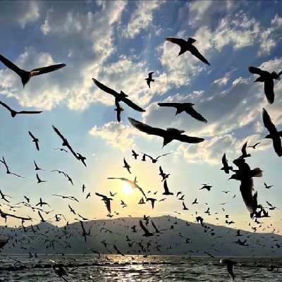 tg980530's profile picture. 