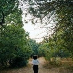 Ywuveak8543's profile picture. 