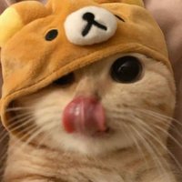 Patty 🍟 (@eu_pattty) 's Twitter Profile Photo Patty 🍟 (@eu_pattty) 's Twitter Profile Photo
