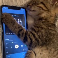 hurtpuppies (@herequeenlv) 's Twitter Profile Photo