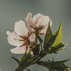 MohitNagarwal4's profile picture. 