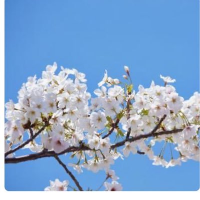 SGI🇹🇩3世 圏副女 公明党応援🌾 夫と🐈⬛とのんびり生活しています。ROM専でしたが、微力ながら自分の出来る範囲で公明党の応援をしようと決意。無言フォロー失礼します🙇♀️