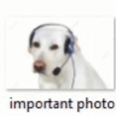 ari1541667's profile picture. i made this account so i can look at tweets. trans rights. now go away. shoo