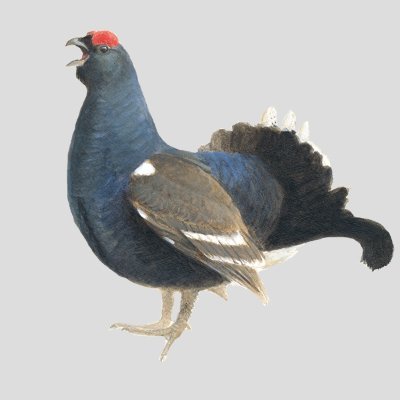 DijkHans69573's profile picture. 