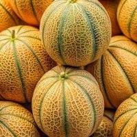 hayhay44 (@hayhay444444) Twitter profile photo