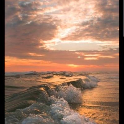 MikeC_70_'s profile picture. Believer in the Constitution and People's Rights.