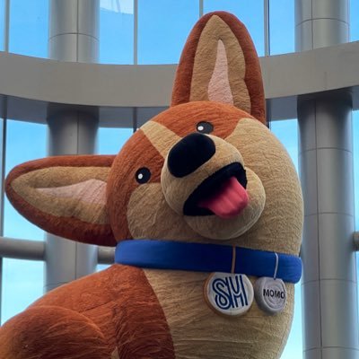 djdoesit44's profile picture. 🇺🇸 based in 🇵🇭 | Expat-Traveler | Gen X’er | Music Lover | Scuba Diver | Dog Servant |