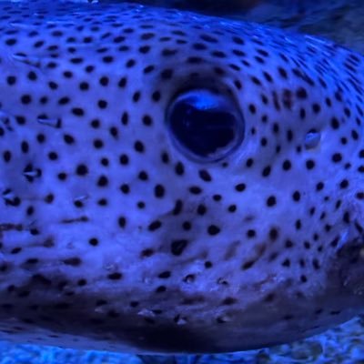 B82a3I's profile picture. 20↑ 見る専 永久鍵 夢